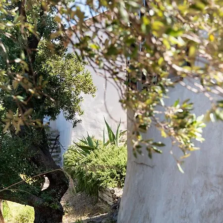Tenuta Le * Rocchette