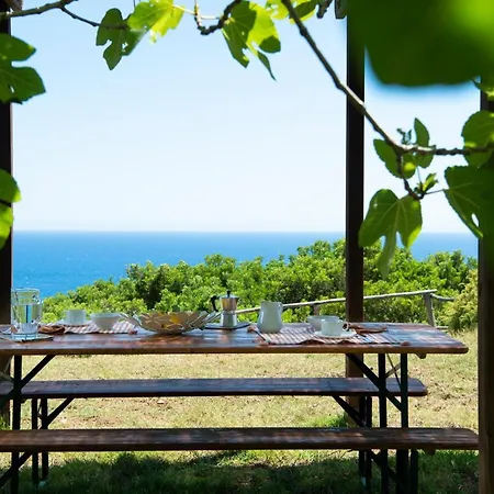 Tenuta Le